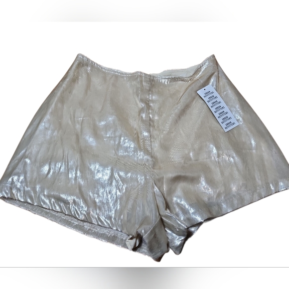 Urban Outfitters Pants - Urban‎ Outfitters Liquid Metal Champagne Shorts Nwt Size 0